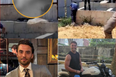 🚨 MYSTERY DEEPENS! 🚨 An ITV star’s life has been tragically cut short at 33 after a b0dy was discovered in a drainage ditch in Thailand — and the truth behind those final hours is raising more questions than answers