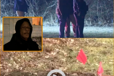 My dog just wouldn’t move… — The dog walker’s ch!lling account of the moment he opened the suitcase and uncovered a h0rrifying secret