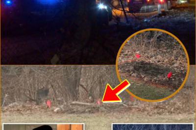 SH0CKING: The ch!lling moment that exposed the secret inside the suitcases: A dog walker opened one — and discovered something no one expected