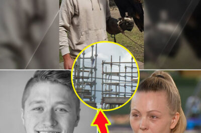 Final Photo Before De-adly Fall – Finnish Tradie’s Death in Brisbane Raises Questions, Family Demands Truth