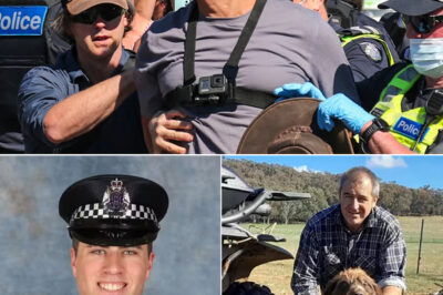 Two associates arrested in dezi freeman case — then suddenly released as chil-ling details surface