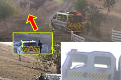 Inside the final hours of Yattalunga ATV tra-gedy — CCTV footage and eyewitness accounts expose what really happened