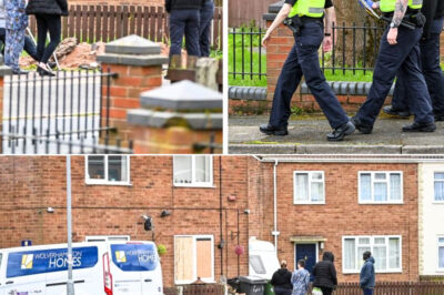 T3rrified Daughter’s Screams Echo After Woman, 70s, Di-e-s in Dog At-t-ack — Man, 37, Arrested as Witness Reveals Shocking Scene