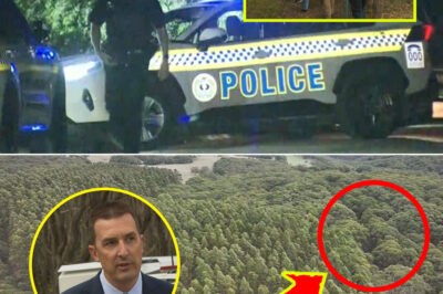 B-o-d-y Found in Dense Bushland May Have Been There for Years, Police Reveal — Investigation Takes Shocking Turn