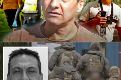 Police reveal hidden lifeline behind dezi freeman as secret network finally exposed