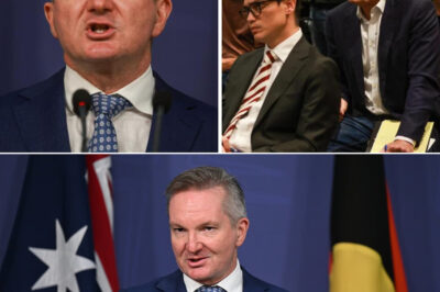 Routine Briefing Turns Chaotic as Liam Bartlett Calls Out Chris Bowen — One Accusation Leaves Room Stunned