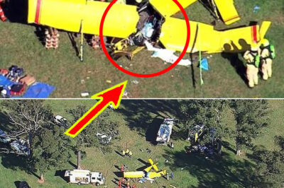 BREAKING: Light Plane Crashes in NSW — Pilot Fighting for Life After Horror Impact in Southern Highlands