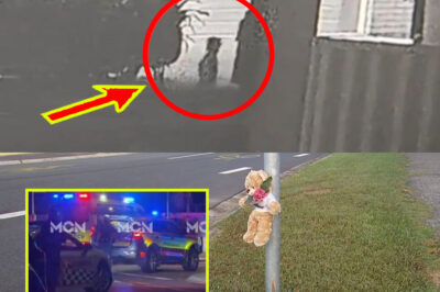 🚨 UPDATE: New Details Emerge in Caboolture Tra-g-edy After 3-Year-Old Girl D-i-es — Critical Moments Under Review