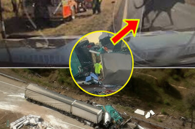 36 DE-A-D IN HORROR HIGHWAY CR-A-SH – MIRACLE SURVIVOR WALKS OUT OF ‘LIVESTOCK GRAVEYARD’