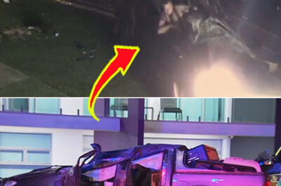 CCTV captures terrifying moment Toyota HiLux packed with partygoers rolls multiple times into Adelaide front yard