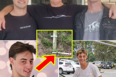 Two Brothers, Two F.a.tal Cr.a.shes — Disturbing Questions Emerge in Gold Coast Family’s Double Tr.a.gedy