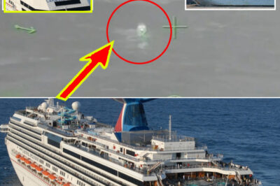 P-a-ssenger Missing at Sea After Going Overboard From Cruise Ship Off Queensland — Urgent Search Underway