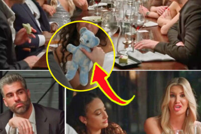 MAFS Bombshell: Joel Reveals Shocking Theory Behind Gia’s “Teddy” Backlash—and It Actually Makes Sense