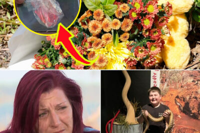 A Moment That Changed Everything: The Chil-ling Final Seconds Before 11-Year-Old Michael Judge’s Fa-tal Crash