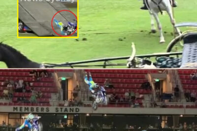BREAKING: Sydney Royal Easter Show Thrown Into Chaos After TWO Shocking Incidents — What Witnesses Revealed Is Deeply Alarming
