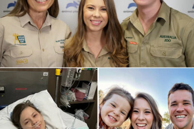 💔 “I Felt Weak and Deeply Insecure” — Bindi Irwin Reveals Decade-Long Endometriosis Battle and 50+ Lesions Removed