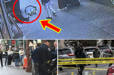 De-a-dly Brooklyn G-u-nfire Erupts Moments After Man Calmly Leaves Scene — Disturbing Video Raises Critical Questions