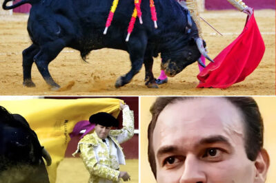 Retired Matador, 51, F-a-tally Gored by Bull Before S0ld-Out Fight — Witness Reveals Chil-ling Final Moments