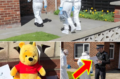 First Police Statement Released in Baby’s F-a-tal Dog At-tack — Witnesses Describe Chaos as Mother Tried to Stop It