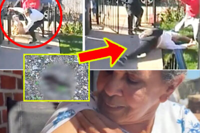 Shocking Footage Shows Elderly Woman Assaulted by Neighbor — Argument Escalates Into Violent Nightmare