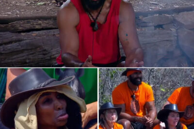 Secret Feud Rumors Explode on I’m A Celeb as Stars Reportedly Distance Themselves From David Haye After Controversial Rant