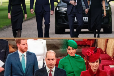 EXCLUSIVE: Prince William and Kate ‘have no intention’ of seeing Harry and Meghan on UK return