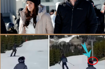 “THAT DOESN’T LOOK RIGHT…” — A rare video of Archie has just sparked an unexpected wave of reactions, and people are starting to notice something unusual.