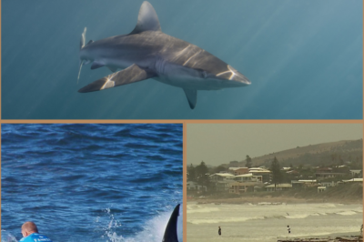 “I THOUGHT I WAS GOING TO D-I:E…” — Teen survives terrifying shark attack while surfing alone off South Australia.