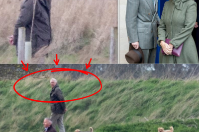 Prince Edward and Sophie are forced to use Sandringham ‘holiday let’ over Easter break because Andrew Mountbatten-Windsor is refusing to leave his farmhouse