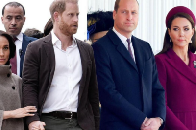 EXCLUSIVE: Meghan Markle’s ‘revenge with Prince Harry risks escalating royal tensions’ The Sussexes’ calendar is ramping up with their upcoming Australia visit and a raft of new TV deals, but they risk overshadowing their UK royal family