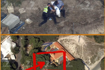 CHILLING DETAILS EMERGE — B0nes found on Rottnest Island believed to be human.