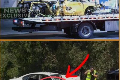 “HORROR WEEKEND ON THE ROADS…” — Two killed in Lamborghini crash on Queensland highway.  A devastating crash has claimed the lives of two people after a high-powered Lamborghini lost control on a Queensland highway, marking a tragic end to a horror 24 hours on the state’s roads.