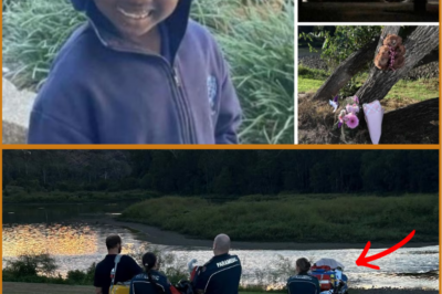 ‘Lovely, shy, caring, and remarkably mature’: Heartbreaking tribute after girl, 7, drowns at swimming spot in Ipswich, Qld