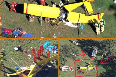 Pilot fighting for life after his light plane crashed into a Berrima paddock in the NSW Southern Highlands
