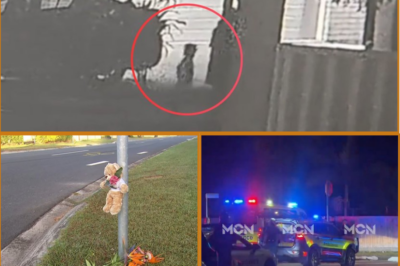 3-YEAR-OLD GIRL K!LLED IN HORRIFYING INCIDENT — FAMILY WALK TURNS INTO UNIMAGINABLE TRAGEDY…