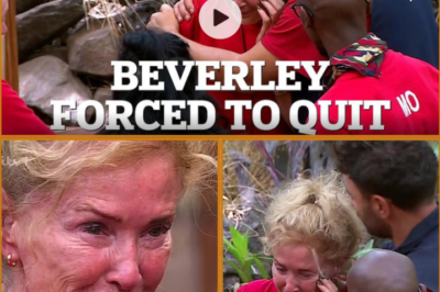 Beverley Callard, 69, breaks down in tears as she reveals she had to quit I’m A Celebrity after fainting in the Bush Telegraph: ‘I didn’t know I had c-a:ncer’
