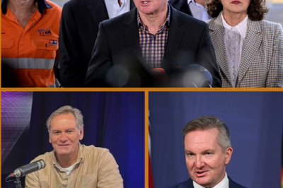 LEFT US ALL EXPOSED…’ — VETERAN JOURNALIST WARNS OVER RENEWABLE PUSH, SPARKING NEW QUESTIONS…