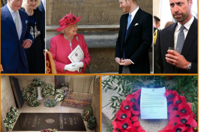 HIDDEN IN PLAIN SIGHT… HARRY’S ‘SECRET’ TRIBUTE TO THE LATE QUEEN FINALLY REVEALED!