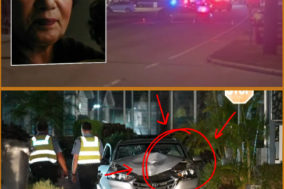 SHE WAS JUST 100 METRES FROM HOME… A KIND AND LOVELY GRANDMA ON A SIMPLE WALK — THEN A SUDDEN CRASH CHANGED EVERYTHING!