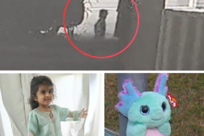 A mother clutching her child’s b0.dy: Residents recount the haunting scene of the 3-year-old girl k!:lled while walking home with her mother in Caboolture