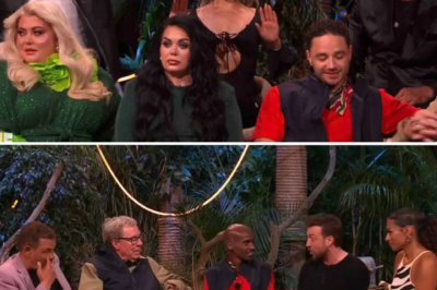 ENOUGH IS ENOUGH: I’M A CELEBRITY STARS UNITE TO EXPOSE THE NETWORK, REVEALING THE HORRIFIC SECRETS BEHIND THE LENS!