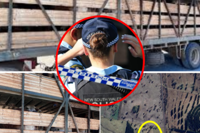 Updating the health status of the 53-year-old driver in the crash that k!:lled 35 cattle