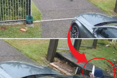 20 HOURS OF ADRENALINE: POLICE HELICOPTERS SWOOP ON KNIFE-WIELDING GANG’S STOLEN MUSTANG; SHOCKING END FOR THE 15-YEAR-OLD SUSPECT!