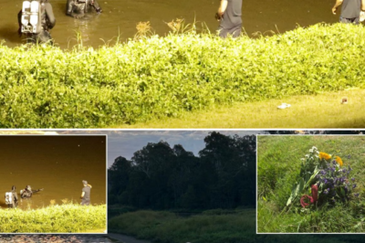 Fighting for life after the tragedy: Sudden developments in the condition of the boy in the drowning case that has left all of Queensland breathless!