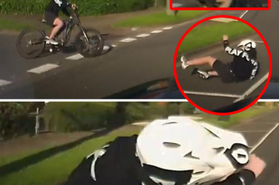 Detailed physical description of the e-bike madman who smashed into a car, crawled back up, and fled