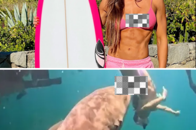 MOMENT OF TERROR: GIANT SHARK “CRUSHES” TOURIST’S LEG AS HELPLESS FRIENDS WATCH ON IN HORROR!