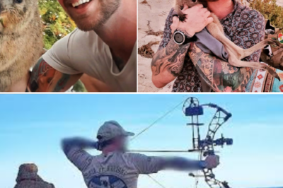 5 years for an answer: The sniper who assassinated BIKIE BOSS NICK MARTIN unmasked — a chillingly professional background