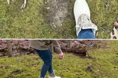 THE OHIO BIGFOOT FLAP: A string of witnesses recount terrifying encounters with strange creature nearly 10 feet tall