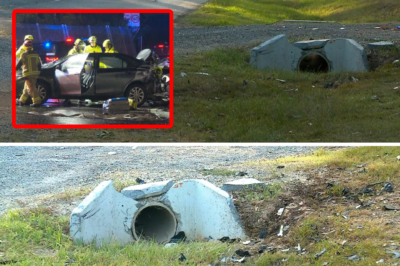 Chaos erupts this Easter: 4 terrifying tragedies hit Queensland back-to-back, turning a holiday into a nightmare of screams and absolute horror!