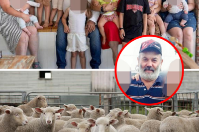 The crucial action taken by Mr. Richard Wills before his d3:ath opened a dark gateway into a million-dollar crime network